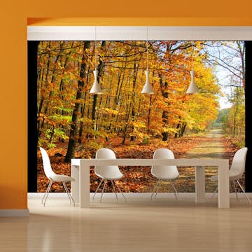 Fototapet Arkiio Beech Forest