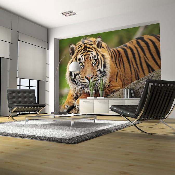 Fototapet Arkiio Sumatra Tiger