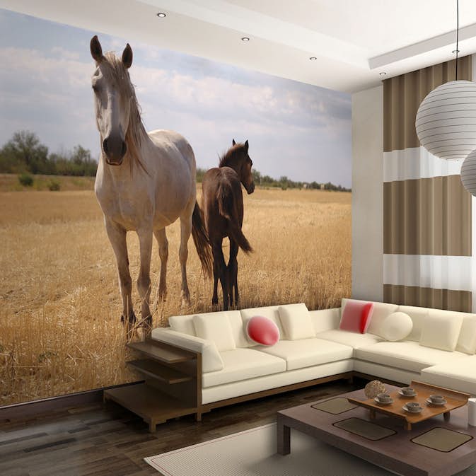 Fototapet Arkiio Horse And Foal