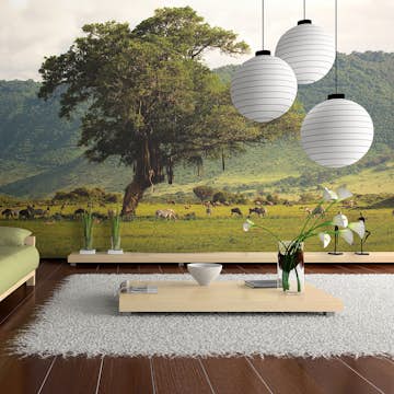 Fototapet Arkiio In A Crater Of Ngoro Ngoro