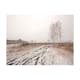 Fototapet Arkiio Winter Field
