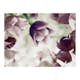 Fototapet Arkiio Heavenly Tulips
