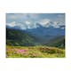 Fototapet Arkiio Spring Fjällandskap