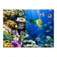Fototapet Arkiio Underwater Paradis