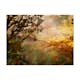 Fototapet Arkiio Painted Autumn