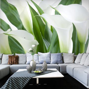 Fototapet Arkiio Blombukett Callas