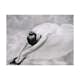 Fototapet Arkiio Fotografi: Ballerina