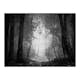 Fototapet Arkiio Forest Of Shadows