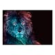 Fototapet Arkiio Självhäftande Abstract Lion Rainbow