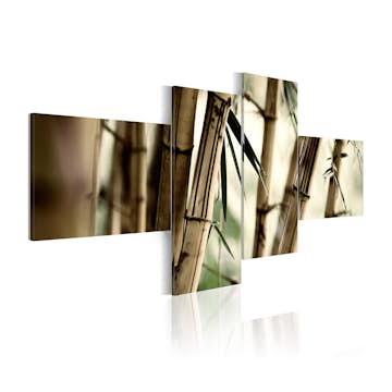 Tavla Arkiio Bamboo Inspiration