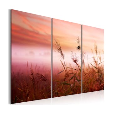 Tavla Arkiio A Silent Meadow