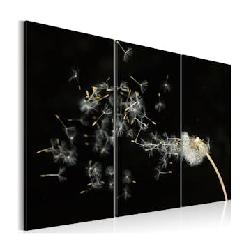 Tavla Arkiio Dandelions The Transience