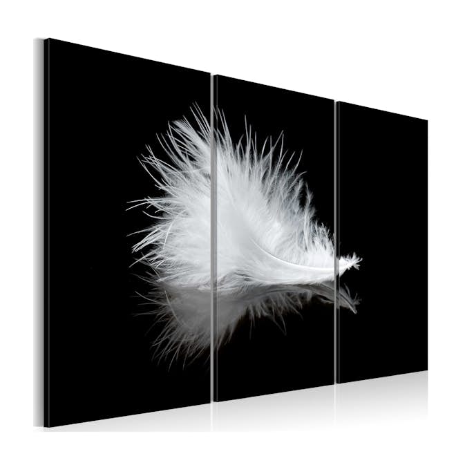 Tavla Arkiio A Small Feather