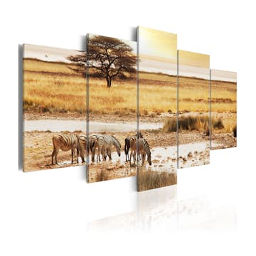 Tavla Arkiio Zebras On A Savannah