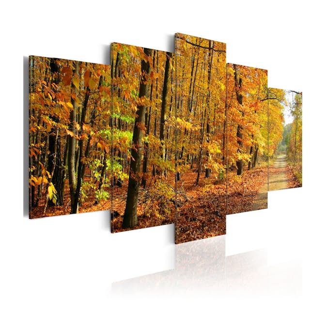 Tavla Arkiio An Alley Among Colorful Leaves