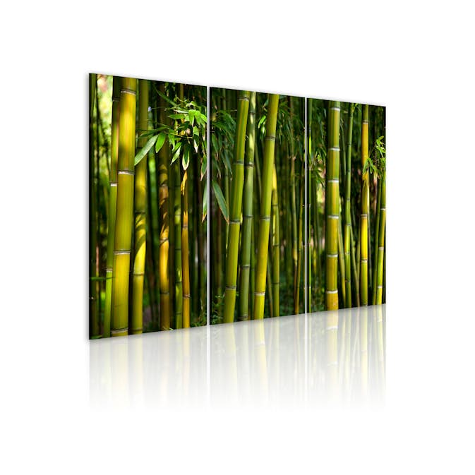 Tavla Arkiio Green Bamboo 60x40