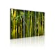Tavla Arkiio Green Bamboo 60x40