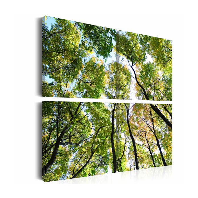 Tavla Arkiio Treetops