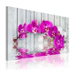 Tavla Arkiio Harmoni Orkidé 60x40