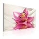 Tavla Arkiio Unusual Orchid 60x40