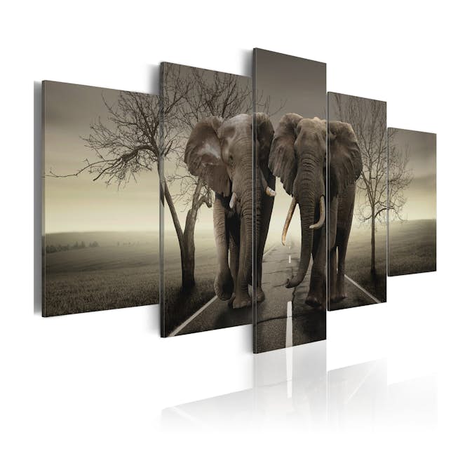 Tavla Arkiio It's a Wild World