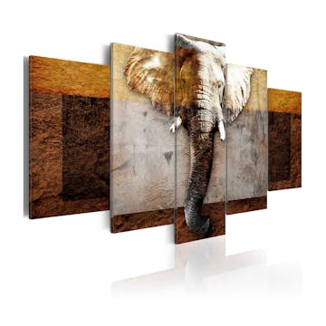 Tavla Arkiio Strength Of Africa