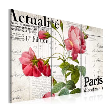 Tavla Arkiio Paris Directeur