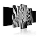 Tavla Arkiio Zebra Look