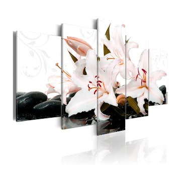 Tavla Arkiio Lilies And Zen Lilies