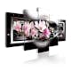 Tavla Arkiio Magnolias On A Black Background