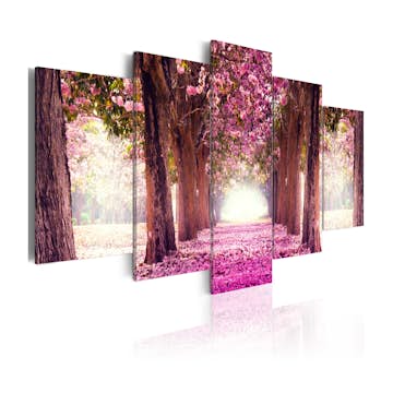 Tavla Arkiio Follow The Beauty