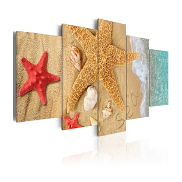 Tavla Arkiio Sea Treasure