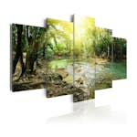 Tavla Arkiio Forest River