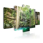 Tavla Arkiio Waterfall Of Trees