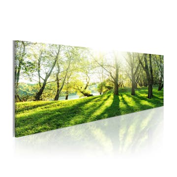 Tavla Arkiio Rays Of Sunshine