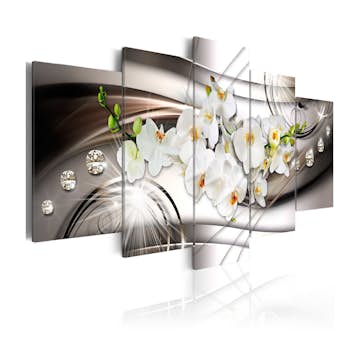 Tavla Arkiio  Orchid With Diamonds