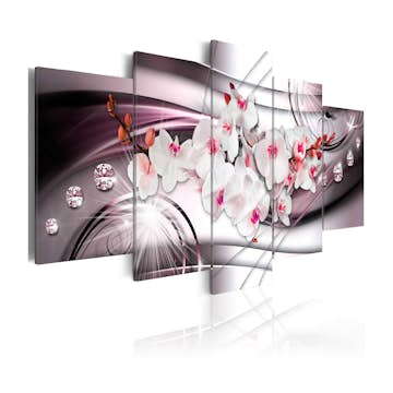 Tavla Arkiio Tint Of Orchid