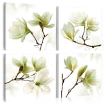Tavla Arkiio Admiration Of Magnolia