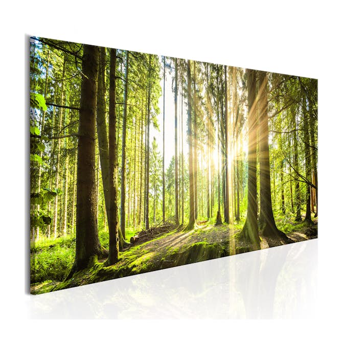 Tavla Arkiio Daylight