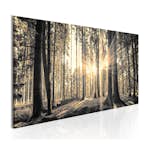Tavla Arkiio Forest Sun