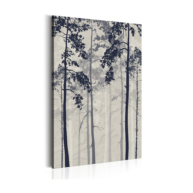 Tavla Arkiio Forest In Fog