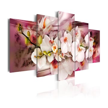 Tavla Arkiio Serenade for The Beloved