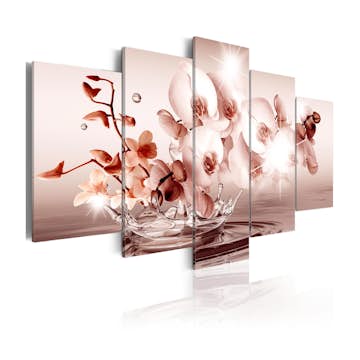 Tavla Arkiio Lyric Of Orchid