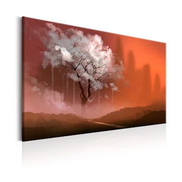 Tavla Arkiio Land Of Dreams