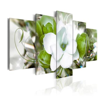 Tavla Arkiio Malachite Nymph