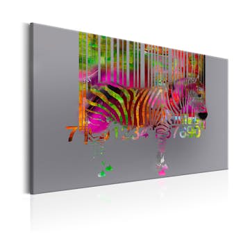 Tavla Arkiio Code Of Zebra 60x40