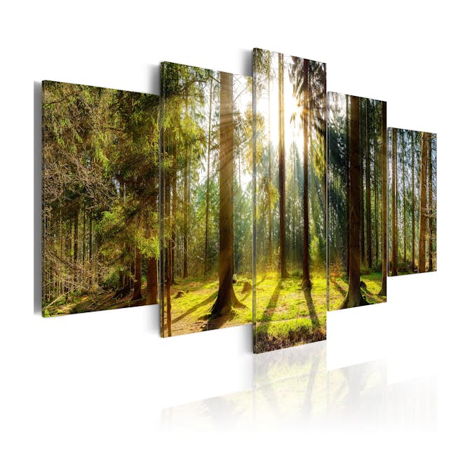 Tavla Arkiio Morning Awakening