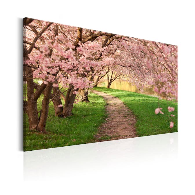 Tavla Arkiio Lovers Path