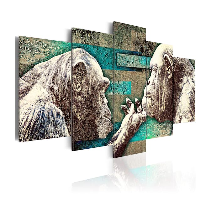 Tavla Arkiio Learning Of Tenderness