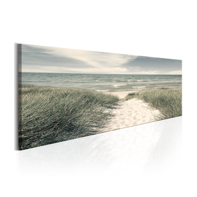 Tavla Arkiio Secrets Of The Sea